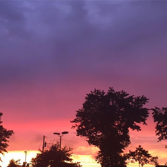 Meet your Posher, Susan fredericks - Picture 1 of 1